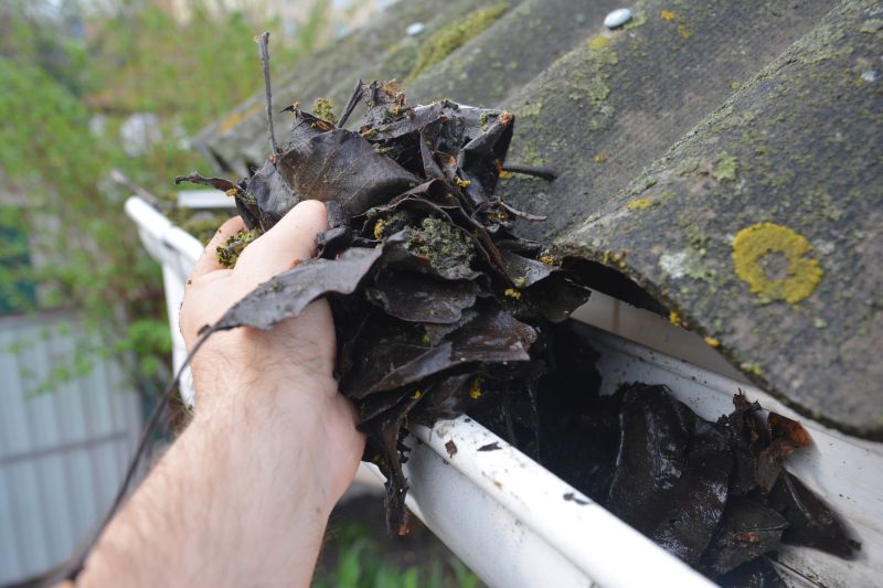 Gutter Pine Needle Removal in Fredericksburg, VA