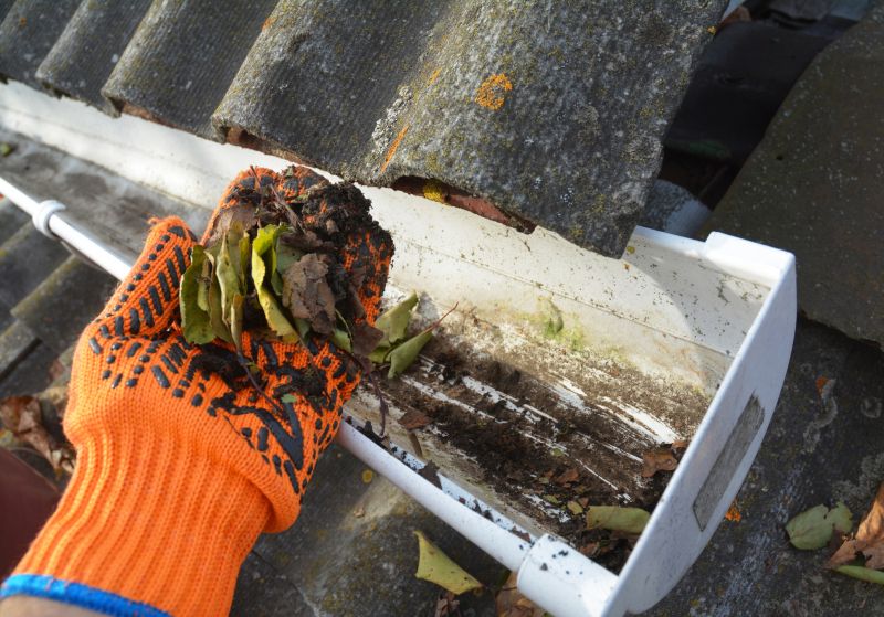 Rain Gutter Clearing in Rochester, NY