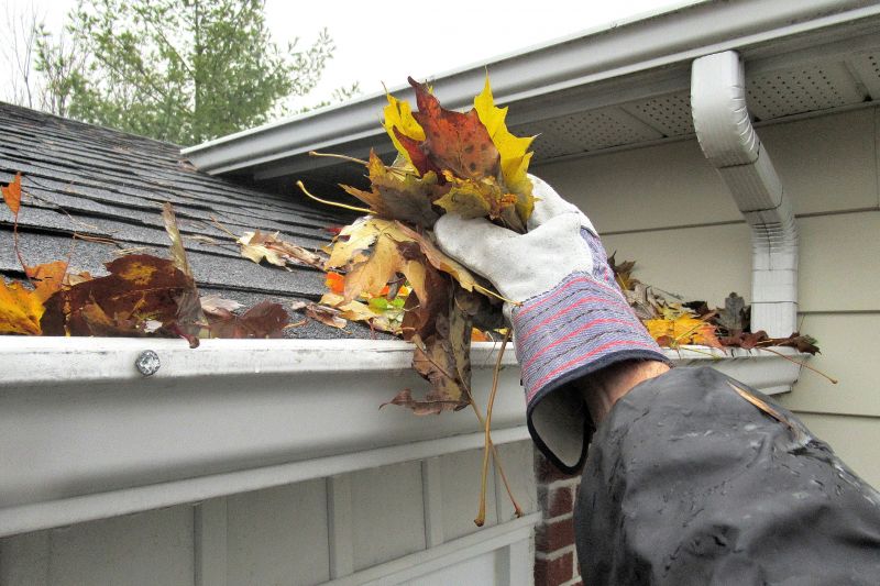 Roof Gutter Cleaning in Baltimore, MD